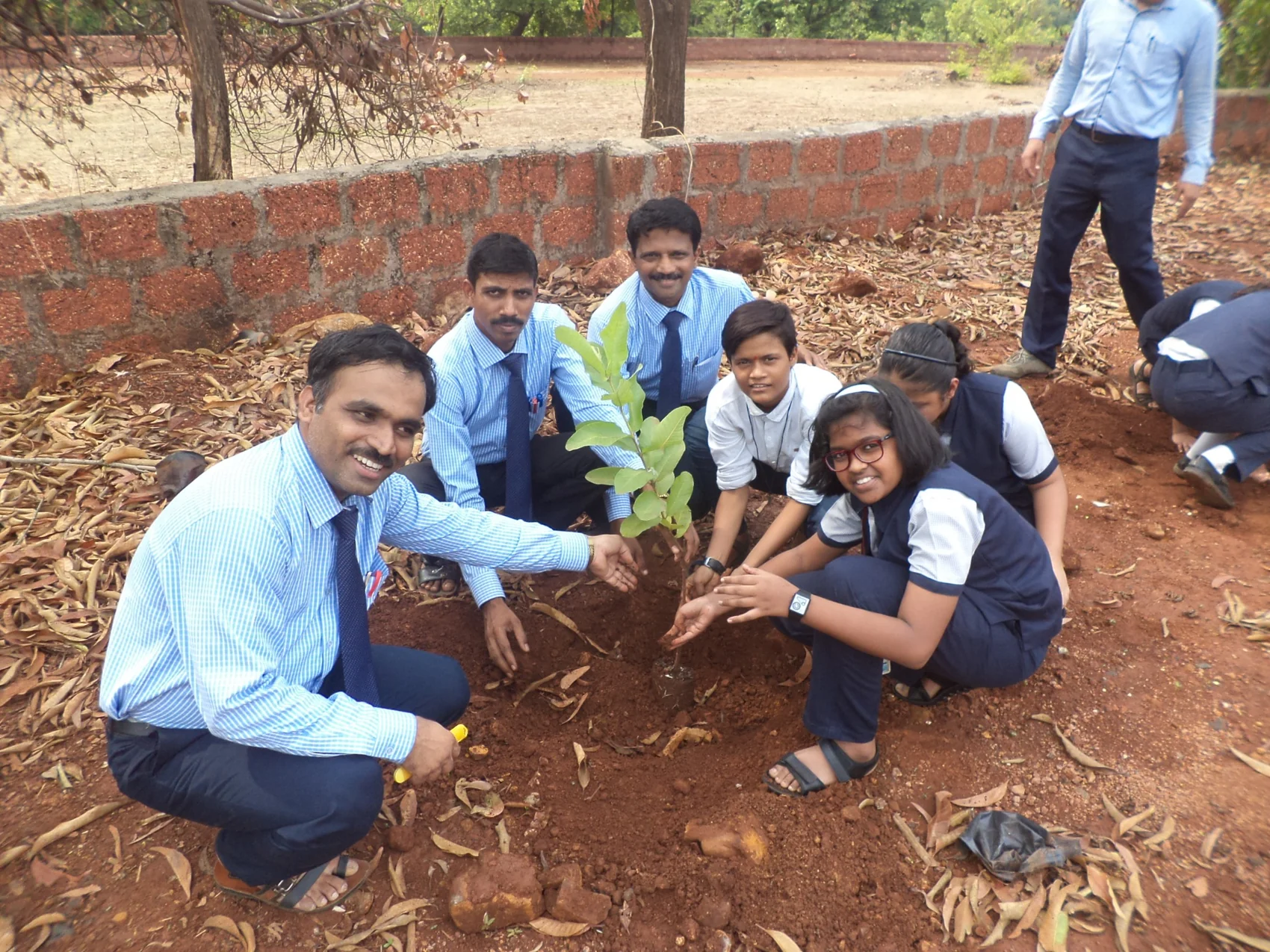 SSKEMS students and teachers planting a young tree together outdoors.